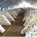 Greenhouses agricoles Film en plastique de champignons Green House